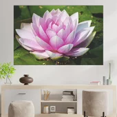 Водна лилия в езеро - картина пано за стена - Thumbnail 1