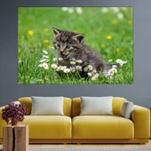 Коте и маргаритки - картина пано за стена - Thumbnail 1