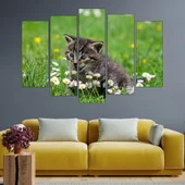 Коте и маргаритки - картина пано за стена - Thumbnail 3
