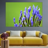 Цъфтяща лавандула  - картина пано за стена - Thumbnail 1