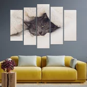 Сиво коте под одеалото  - картина пано за стена - Thumbnail 3