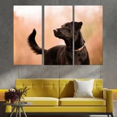 Красив черен лабрадор - картина пано за стена - Thumbnail 2