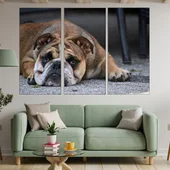 Портрет на легнало куче булдог - картина пано за стена - Thumbnail 2