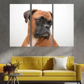 Потрет на куче боксер - близък план - картина пано за стена - Thumbnail 2