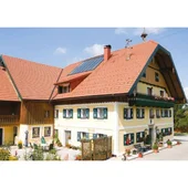 Керемида Traditon 12 естествен цвят 255x435 мм TONDACH - Thumbnail 4