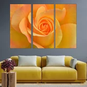 Цъфнала жълта роза в близък план - картина пано за стена - Thumbnail 2