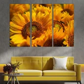 Цъфнали жълти слънчогледи - картина пано за стена - Thumbnail 2