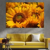 Цъфнали жълти слънчогледи - картина пано за стена - Thumbnail 1