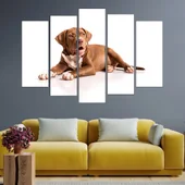 Портрет на кафяв питбул - картина пано за стена - Thumbnail 3
