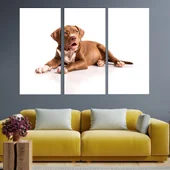 Портрет на кафяв питбул - картина пано за стена - Thumbnail 2
