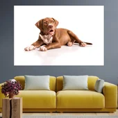 Портрет на кафяв питбул - картина пано за стена - Thumbnail 1