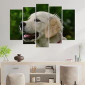 Голдън ретривър портрет - картина пано за стена - Thumbnail 3