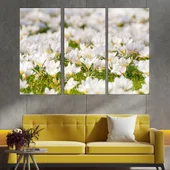 Поляна с бели мизухари - картина пано за стена - Thumbnail 2