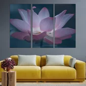 Цъфнал розов лотос - картина пано за стена - Thumbnail 2