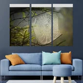 Паяжина в гората - картина пано за стена - Thumbnail 2