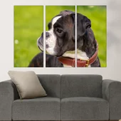 Портрет на малък черен Боксер - картина пано за стена - Thumbnail 2