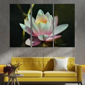 Цъфнала бяла водна лилия - картина пано за стена - Thumbnail 2