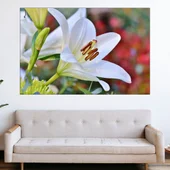 Близък план на бяла лилия - картина пано за стена - Thumbnail 1