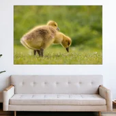 Малки гъсета - картина пано за стена - Thumbnail 1