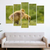 Малки гъсета - картина пано за стена - Thumbnail 3