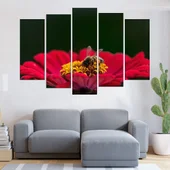 Пчела върху циния - картина пано за стена - Thumbnail 3