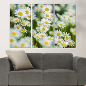 Поляна с бели маргаритки - картина пано за стена - Thumbnail 2
