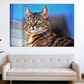Портрет на улична котка - картина пано за стена - Thumbnail 1
