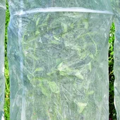 Предпазно покривало за домати ø40x150 см 3 бр. HERLY - Thumbnail 3