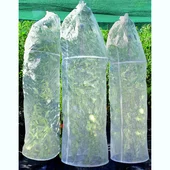 Предпазно покривало за домати ø40x150 см 3 бр. HERLY - Thumbnail 2