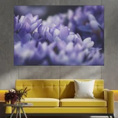 Венчелистчета на лилав минзухар - картина пано за стена - Thumbnail 1