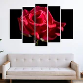 Червена роза на черен фон - картина пано за стена - Thumbnail 3