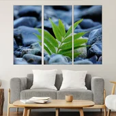 Зелено листо между камъни - картина пано за стена - Thumbnail 2