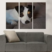 Игрив малък джак ръсел  - картина пано за стена - Thumbnail 2