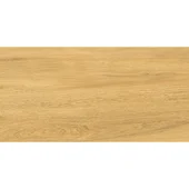 Гранитогрес 30.3x60.6 см Galante Natural 3-то кач. IZIDA CERAMICA - Thumbnail 2