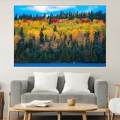 Пъстри дървета през есента - картина пано за стена - Thumbnail 1