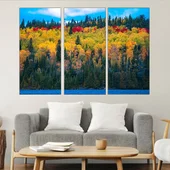Пъстри дървета през есента - картина пано за стена - Thumbnail 2