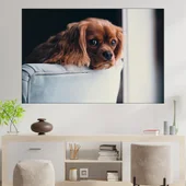 Кученце на диван - картина пано за стена - Thumbnail 1