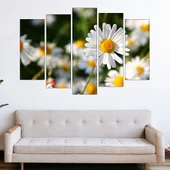 Цветя бели маргаритки - картина пано за стена - Thumbnail 3