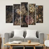 Охлюв и камъни - картина пано за стена - Thumbnail 3