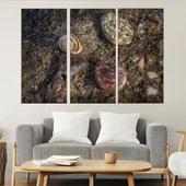 Охлюв и камъни - картина пано за стена - Thumbnail 2