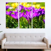 Ливада с минзухари - картина пано за стена - Thumbnail 2