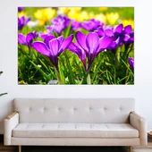 Ливада с минзухари - картина пано за стена - Thumbnail 1