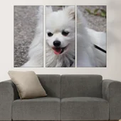 Потрет на бял шпиц  - картина пано за стена - Thumbnail 2