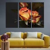 Жълто-червени рози - картина пано за стена - Thumbnail 2