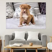 Портрет на малък питбул - картина пано за стена - Thumbnail 1