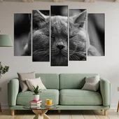 Дремеща сива котка - картина пано за стена - Thumbnail 3