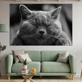 Дремеща сива котка - картина пано за стена - Thumbnail 1