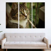 Портрет на домашна котка  - картина пано за стена - Thumbnail 2