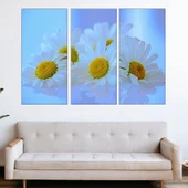 Бели маргаритки  - картина пано за стена - Thumbnail 2