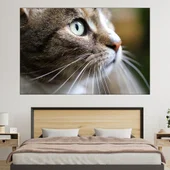 Макро снимка на коте - картина за стена - Thumbnail 1